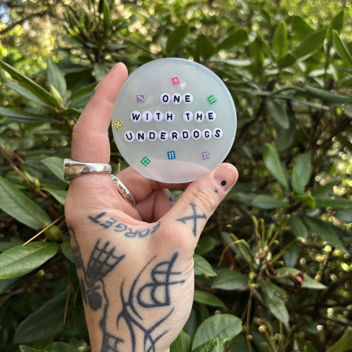 One with the Underdogs ❋ Coasters